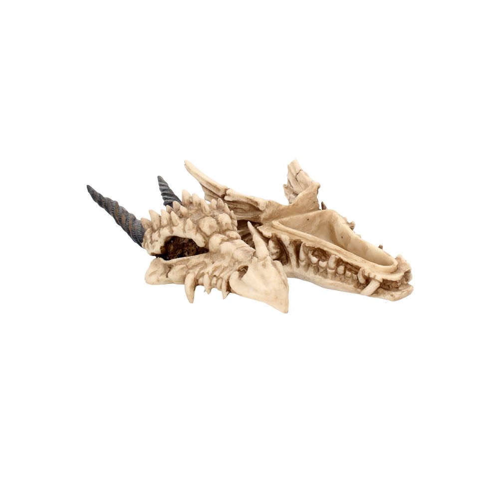 Dragon Skull Box