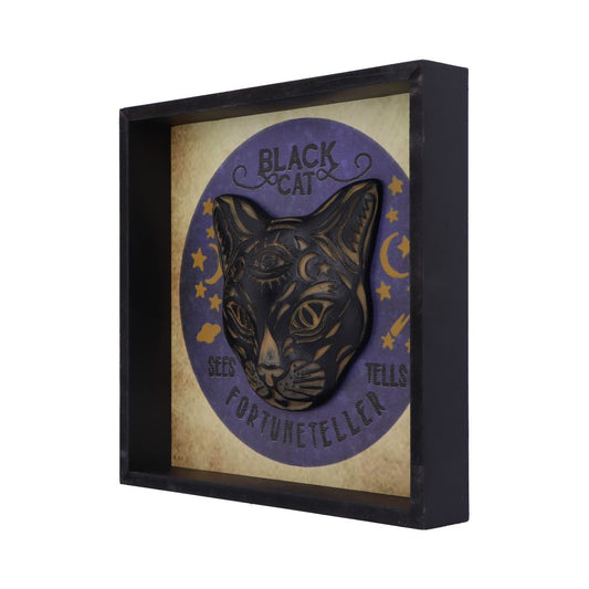 Black Cat Fortune Teller Picture