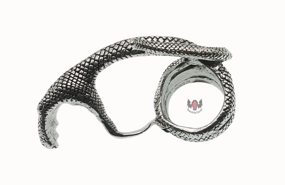 Adderbite Ring R91 Size Y Alchemy Gothic