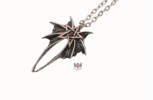 Demons Hex Necklace P364 Alchemy Gothic New