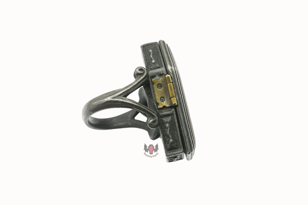 Immortal Kist R103 Size T Alchemy Gothic Coffin Ring 2004