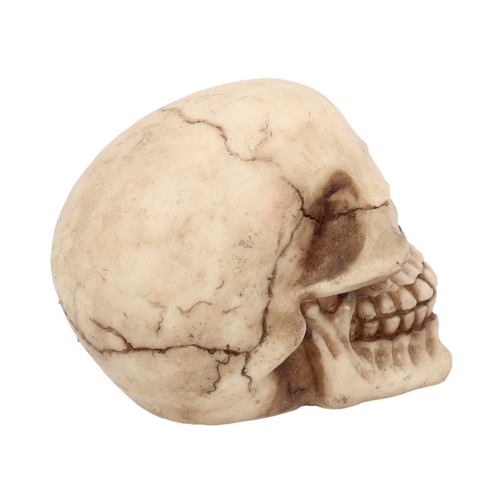 Joker Skull 12cm