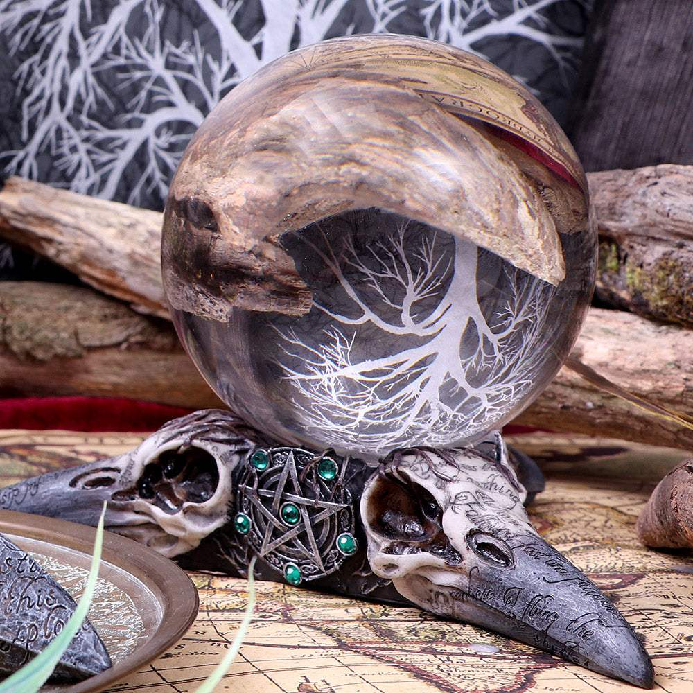 Seers & Fortune Tellers Crystal Ball