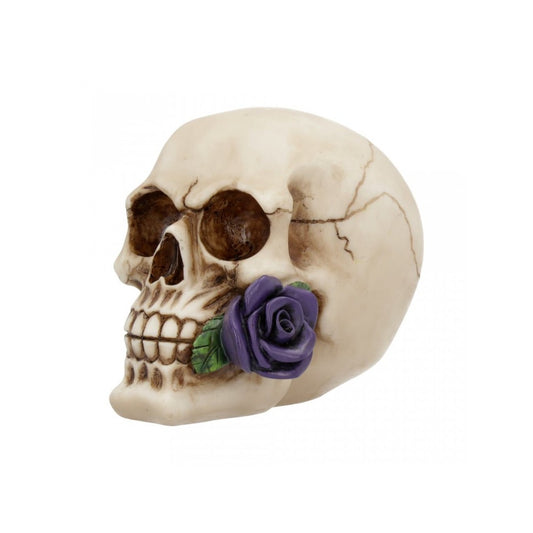 Rose From the Dead